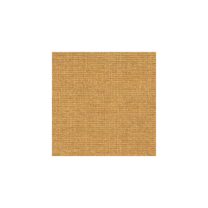 33027-6 by Kravet Smart Fabric RAYON - 100% United States HEAVY Horizontal: 27 and Vertical: 58.5 - Fabric Carolina -