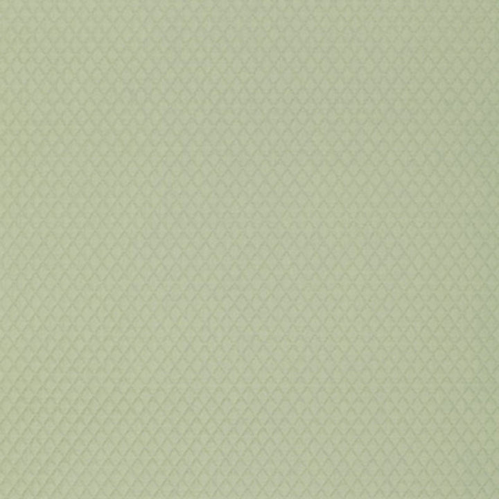Carreau Matelasse Celadon 3303057 by Schumacher Fabric WOVEN PALETTES III See Sample ITALY NOT APPLICABLE </p><p>Repeat: Horizontal: 3/8" (1CM) and Vertical: 1/2" (1CM) 54" WIDE (137CM) - Fabric Carolina -