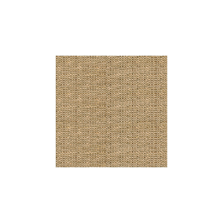 33033-16 by Kravet Smart Fabric POLYESTER - 66%;ACRYLIC - 34% United States HEAVY Horizontal: and Vertical: 54 - Fabric Carolina -