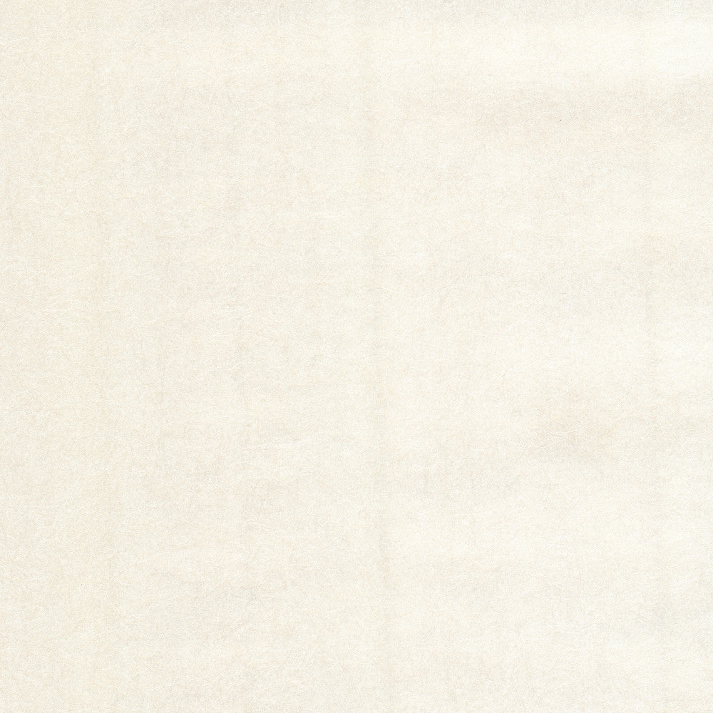 Setara Platinum Air Knife Texture Wallpaper by Eijffinger Luz Covers about 56.4 square feet 20.5-in by 33-ft long roll Unpasted 0 - Fabric Carolina -