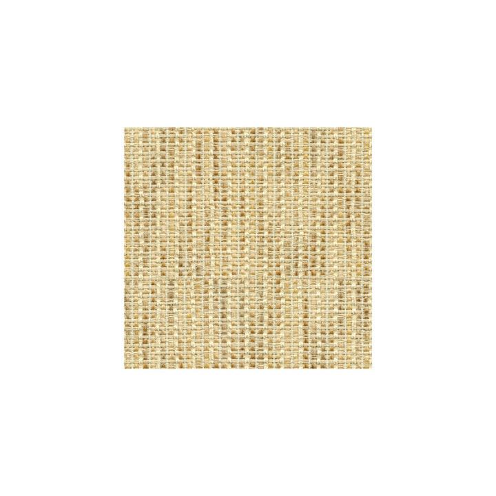 33051-16 by Kravet Smart Fabric - POLYESTER - 76%;ACRYLIC - 17%;OLEFIN - 7% United States MEDIUM Horizontal: - and Vertical: - 54 - Fabric Carolina -