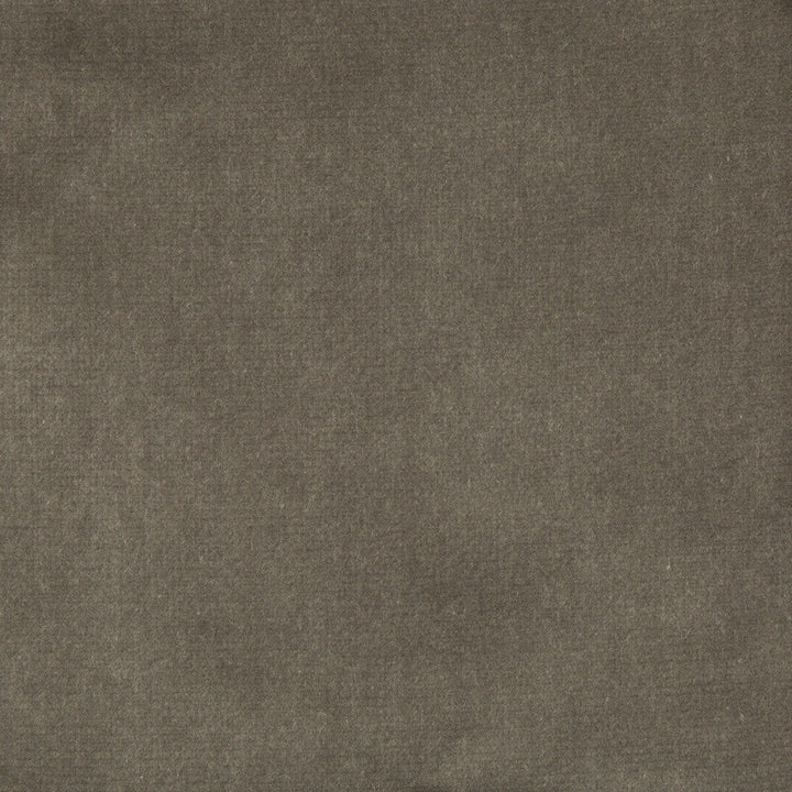 Velvet Treat Grey by Kravet Couture Fabric Kravet Couture Fabric Velvet Treat GreyFabric MODERN COLORS III COTTON - 100% Netherlands </p><p>Repeat: H: 0, V: 0 54 - Fabric Carolina -
