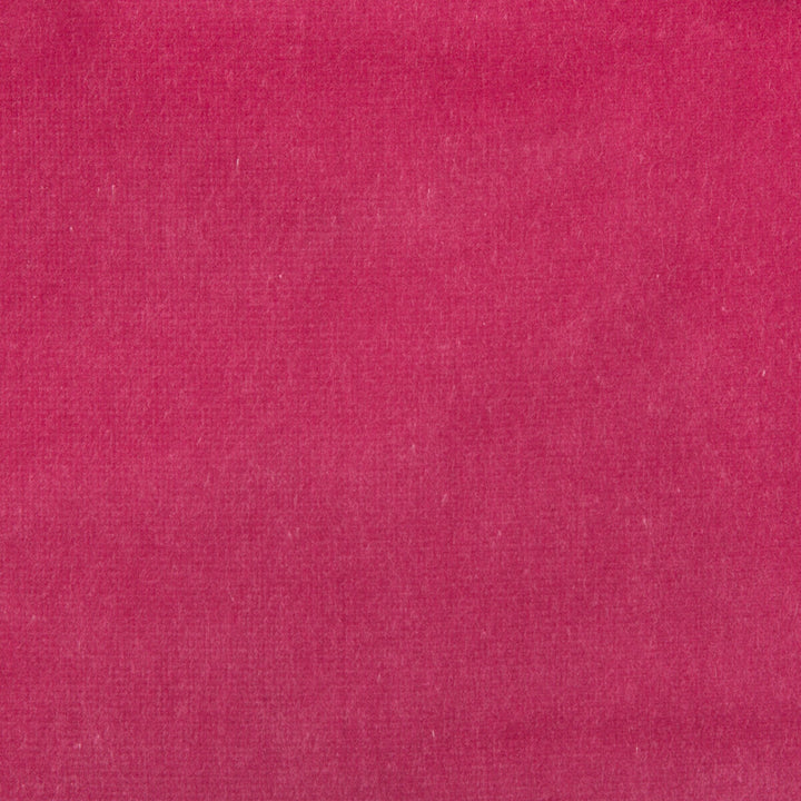 Velvet Treat Hot Pink by Kravet Couture Fabric MODERN COLORS III COTTON - 100% Netherlands HEAVY Horizontal: 0 and Vertical: 0 54 - Fabric Carolina -