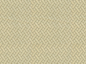 Kara Morel by Kravet Contract Fabric