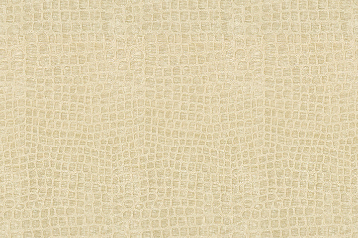 Finnian Coconut by Kravet Contract Fabric