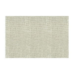 Finnian Silver Lining by Kravet Contract Fabric