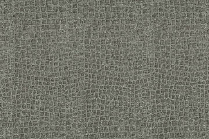 Finnian Graphite by Kravet Contract Fabric