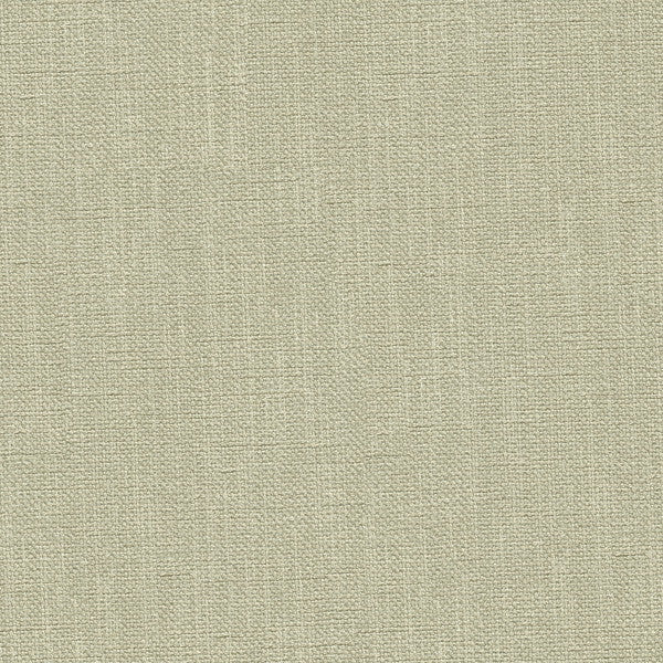 33120.11 by Kravet Basics Designer Fabric in our sample Polyester 100% India Heavy Horizontal: See Sample and Vertical: See Sample 56 inches - Swanky Fabrics -