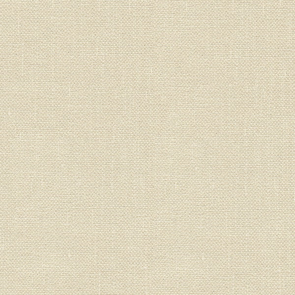 33120.1116 by Kravet Basics Designer Fabric - Polyester 100% India Heavy H" -, V: - 56 inches  - Swanky Fabrics -  Kravet Basics