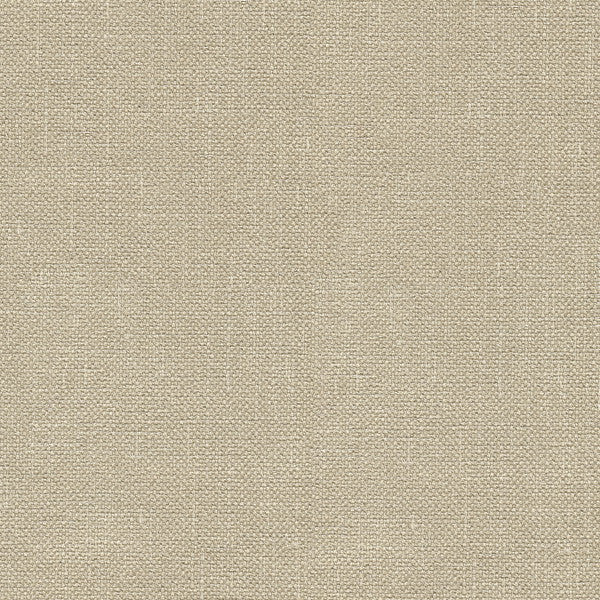 33120.116 by Kravet Basics Designer Fabric in our sample Polyester 100% India Heavy Horizontal: See Sample and Vertical: See Sample 56 inches - Swanky Fabrics -