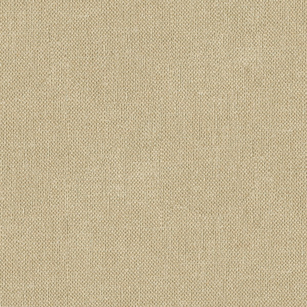 33120.1616 by Kravet Basics Designer Fabric Perfect Plains Polyester 100% India Heavy Horizontal: see sample and Vertical: see sample 56 inches - Swanky Fabrics -