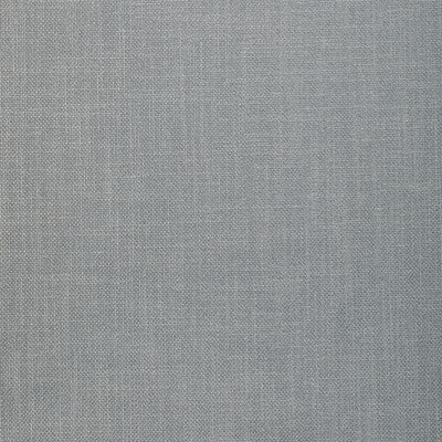 33120.1121.0 by Kravet Fabric Kravet Fabric 33120.1121.0Fabric POLYESTER - 100% India </p><p>Repeat: H: 0, V: 0 54 - Fabric Carolina -