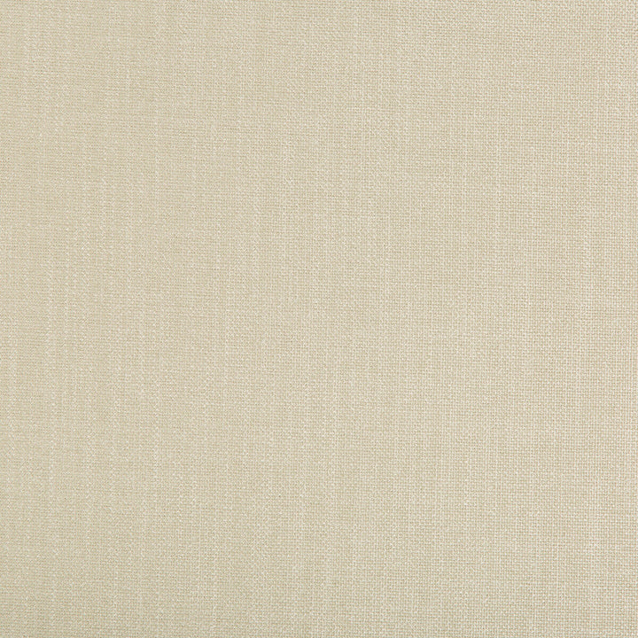 Kravet Basics 33120-1611 by Kravet Basics Fabric Kravet Basics Fabric Kravet Basics 33120-1611Fabric POLYESTER - 100% India </p><p>Repeat: H: , V: 56 - Fabric Carolina -