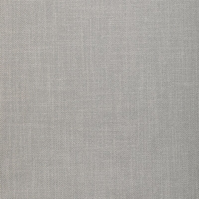 33120.2101.0 by Kravet Fabric Kravet Fabric 33120.2101.0Fabric POLYESTER - 100% India </p><p>Repeat: H: 0, V: 0 54 - Fabric Carolina -