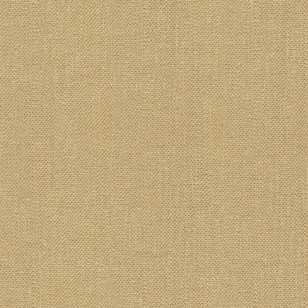 Kravet Basics 33120-616 by Kravet Basics Fabric