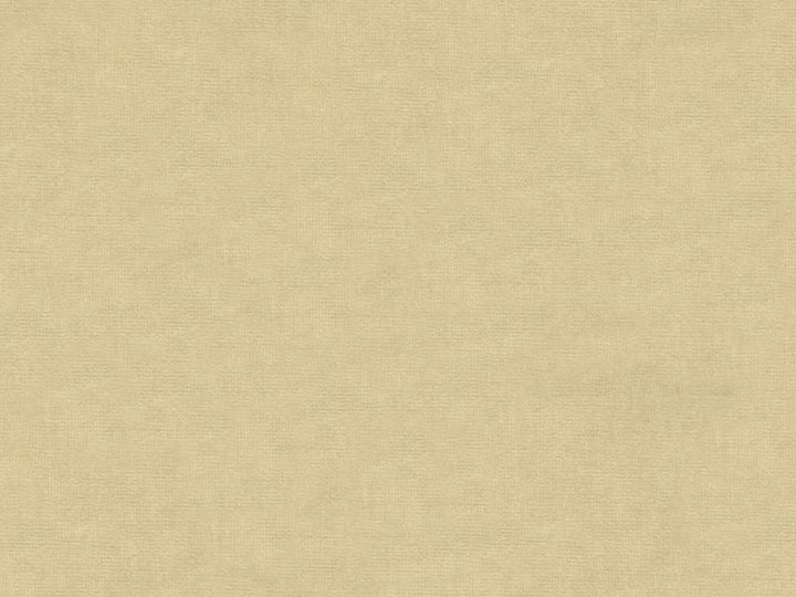 33125.1111 by Kravet Design Designer Fabric - Cotton 61%, Viscose 39% Netherlands - H" -, V: - 55 inches  - Swanky Fabrics -  Kravet Design