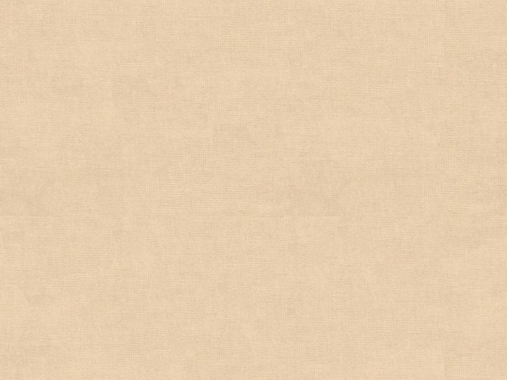 33125.1116 by Kravet Design Designer Fabric our website for purchase Cotton 61%, Viscose 39% Netherlands see sample Horizontal: see sample and Vertical: see sample 55 inches - Swanky Fabrics -