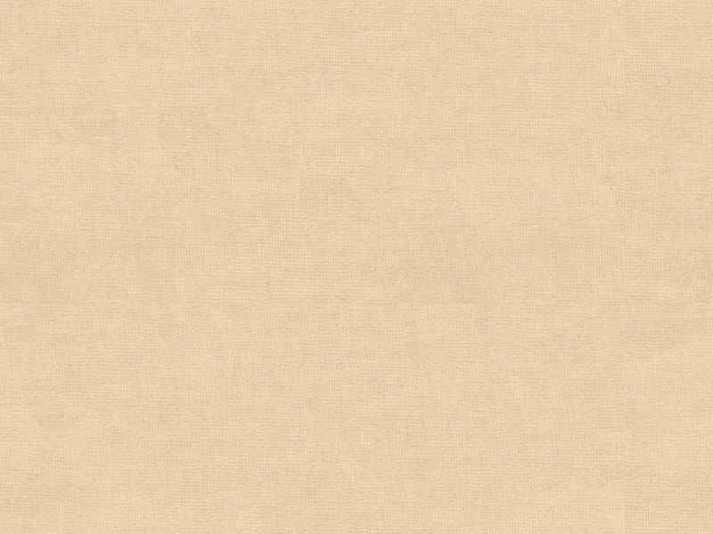 33125.1116 by Kravet Design Designer Fabric our website for purchase Cotton 61%, Viscose 39% Netherlands see sample Horizontal: see sample and Vertical: see sample 55 inches - Swanky Fabrics -