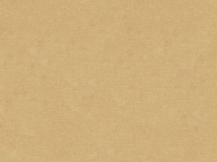 33125.14 by Kravet Design Designer Fabric - Cotton 61%, Viscose 39% Netherlands - H" -, V: - 55 inches  - Swanky Fabrics -  Kravet Design