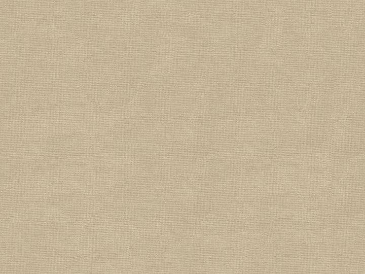 33125.311 by Kravet Design Designer Fabric our website for purchase Cotton 61%, Viscose 39% Netherlands see sample Horizontal: see sample and Vertical: see sample 55 inches - Swanky Fabrics -