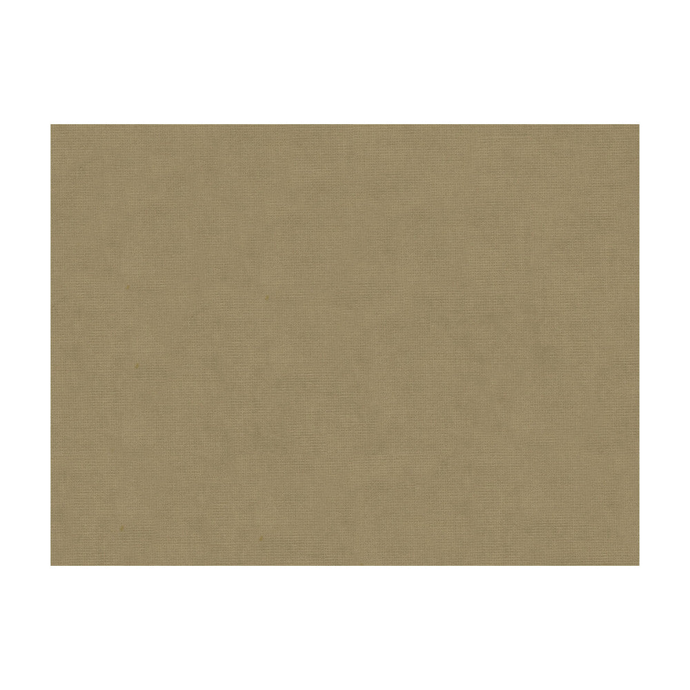 33125-106 by Kravet Design Fabric COTTON - 61%;VISCOSE - 39% Netherlands Horizontal: and Vertical: 55 - Fabric Carolina -