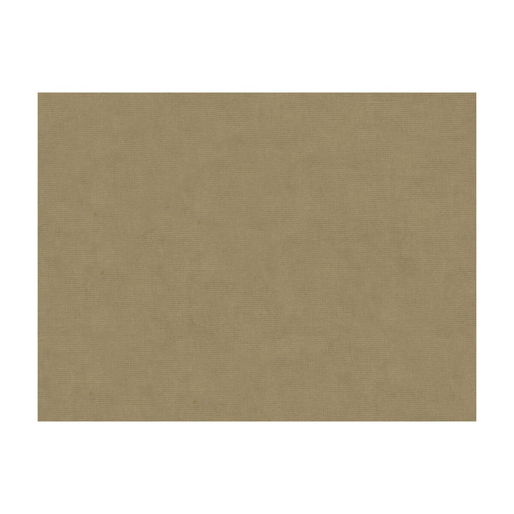 33125-106 by Kravet Design Fabric COTTON - 61%;VISCOSE - 39% Netherlands Horizontal: and Vertical: 55 - Fabric Carolina -