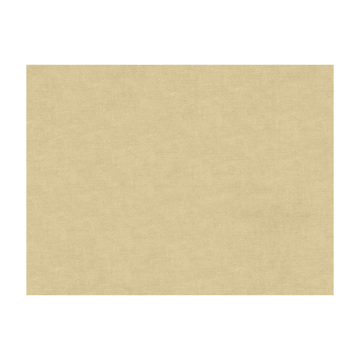 33125-1111 by Kravet Design Fabric COTTON - 61%;VISCOSE - 39% Netherlands Horizontal: and Vertical: 55 - Fabric Carolina -