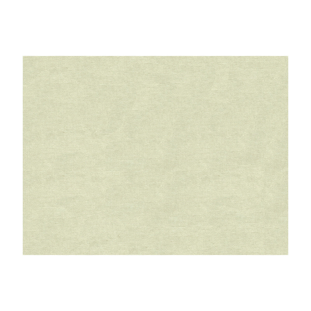 33125-111 by Kravet Design Fabric COTTON - 61%;VISCOSE - 39% Netherlands Horizontal: and Vertical: 55 - Fabric Carolina -