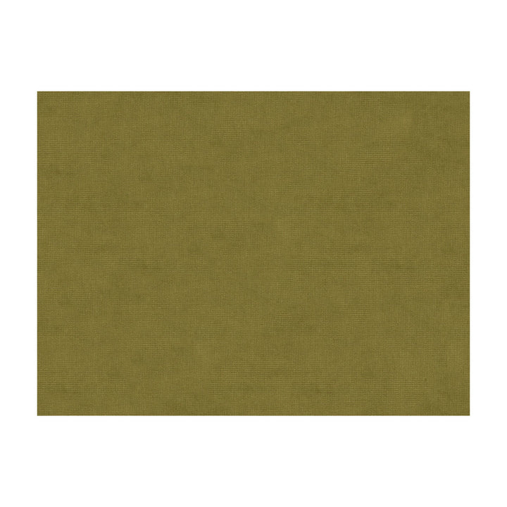 33125-130 by Kravet Design Fabric - COTTON - 61%;VISCOSE - 39% Netherlands - Horizontal: - and Vertical: - 55 - Fabric Carolina -