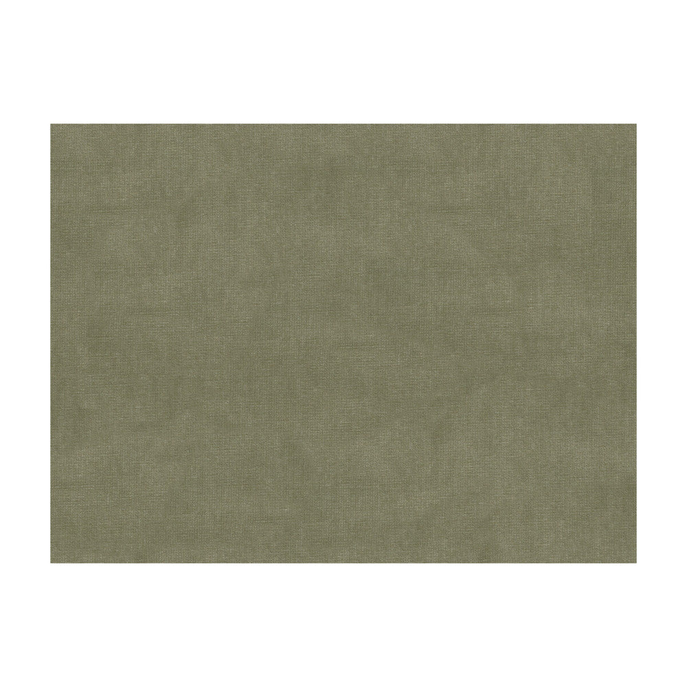 33125-2311 by Kravet Design Fabric COTTON - 61%;VISCOSE - 39% Netherlands Horizontal: and Vertical: 55 - Fabric Carolina -