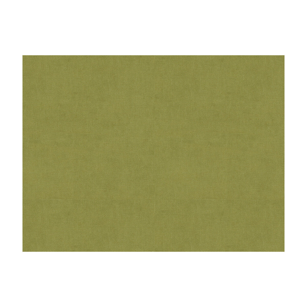 33125-303 by Kravet Design Fabric COTTON - 61%;VISCOSE - 39% Netherlands Horizontal: and Vertical: 55 - Fabric Carolina -