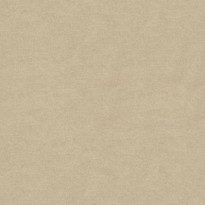 Kravet Design 33125-311 by Kravet Design Fabric