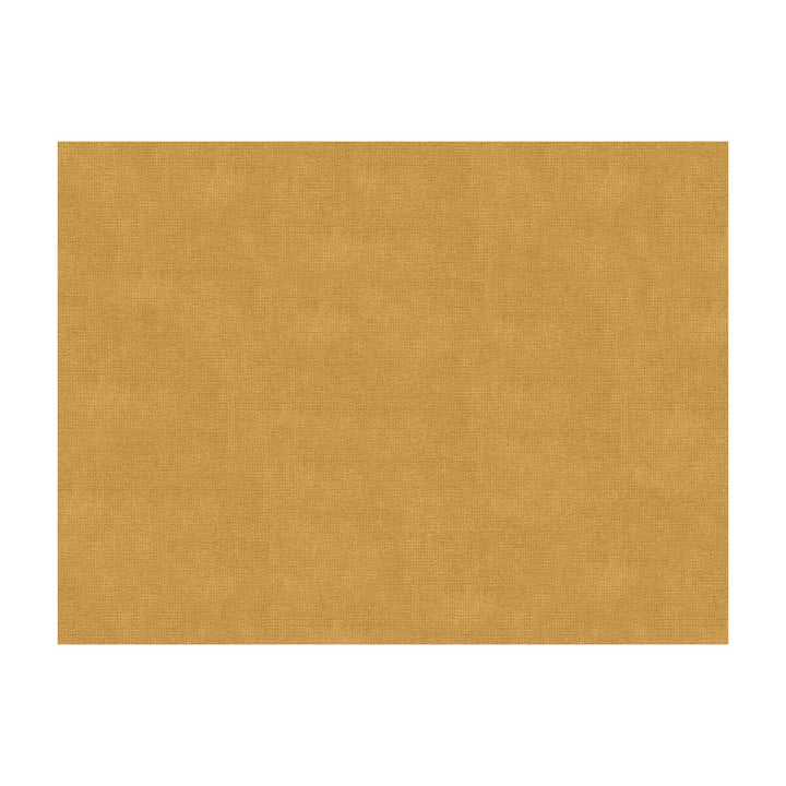 33125-404 by Kravet Design Fabric - COTTON - 61%;VISCOSE - 39% Netherlands - Horizontal: - and Vertical: - 55 - Fabric Carolina -