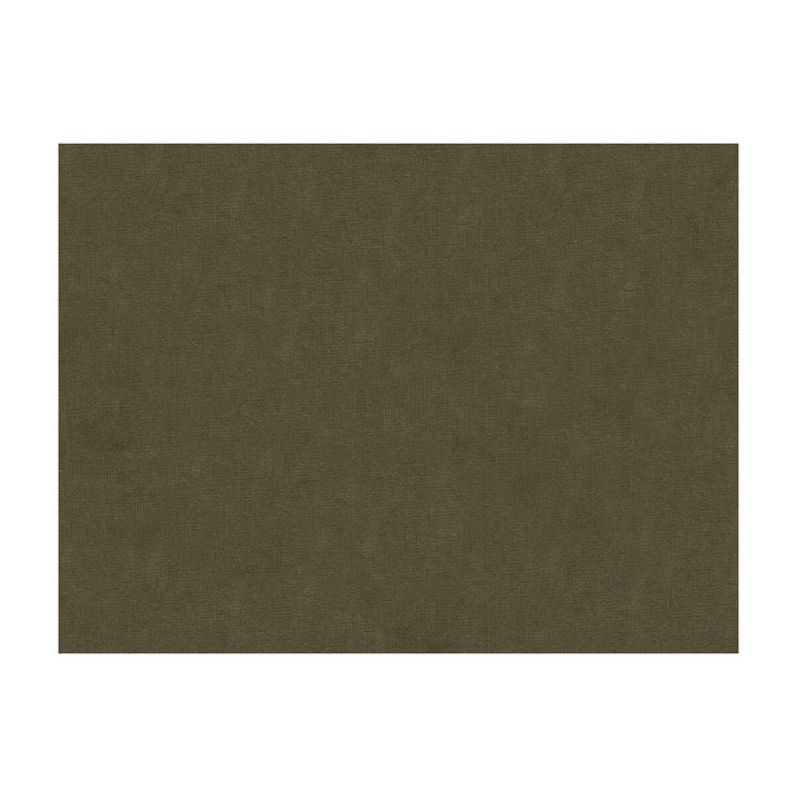 33125-611 by Kravet Design Fabric COTTON - 61%;VISCOSE - 39% Netherlands Horizontal: and Vertical: 55 - Fabric Carolina -