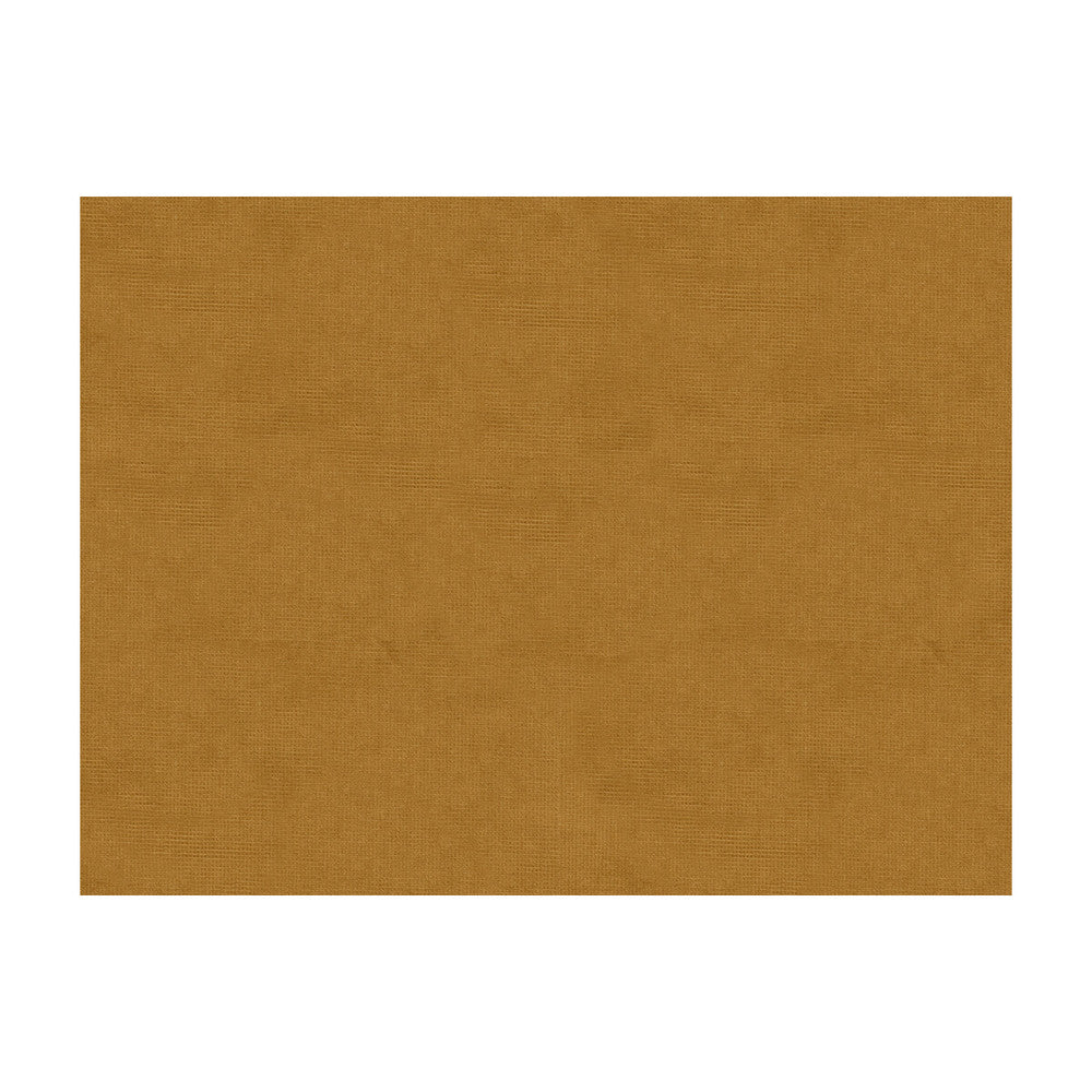 33125-64 by Kravet Design Fabric COTTON - 61%;VISCOSE - 39% Netherlands Horizontal: and Vertical: 55 - Fabric Carolina -