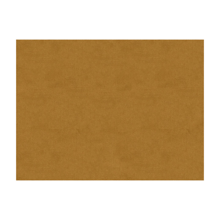 33125-64 by Kravet Design Fabric COTTON - 61%;VISCOSE - 39% Netherlands Horizontal: and Vertical: 55 - Fabric Carolina -