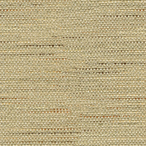 Jarapa 11 by Kravet Design Fabric