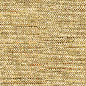Kravet Basics 33135-1611 by Kravet Basics Fabric