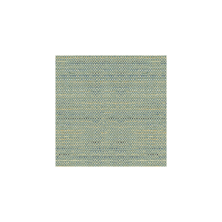 33135-5 by Kravet Basics Fabric ECHO HEIRLOOM INDIA POLYESTER - 80%;COTTON - 20% China HEAVY Horizontal: - and Vertical: - 56 - Fabric Carolina -