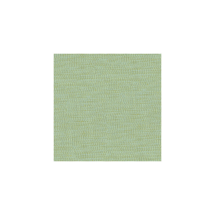 33136-135 by Kravet Basics Fabric ECHO HEIRLOOM INDIA POLYESTER - 100% China LIGHT Horizontal: and Vertical: 56 - Fabric Carolina -