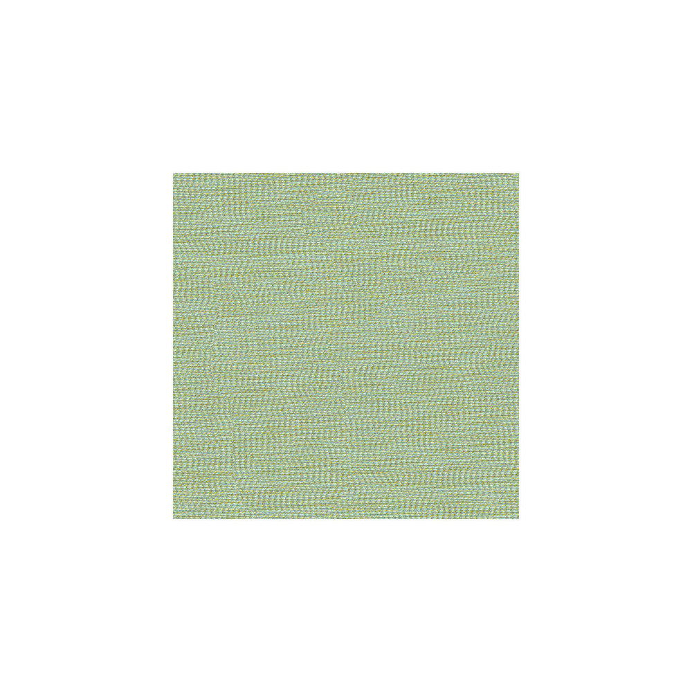 33136-135 by Kravet Basics Fabric ECHO HEIRLOOM INDIA POLYESTER - 100% China LIGHT Horizontal: - and Vertical: - 56 - Fabric Carolina -