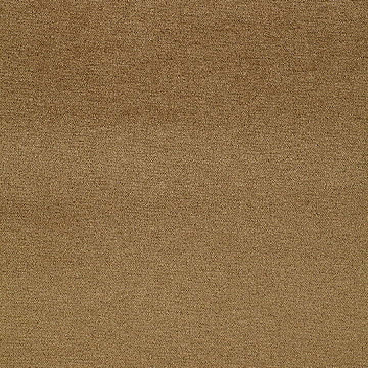 Chatham Mohair Velvet Fawn 3317031 by Schumacher Fabric OPULENT TEXTURES See Sample HOLLAND HEAVY DUTY </p><p>Repeat: Horizontal: - and Vertical: - 54" WIDE (137CM) - Fabric Carolina -