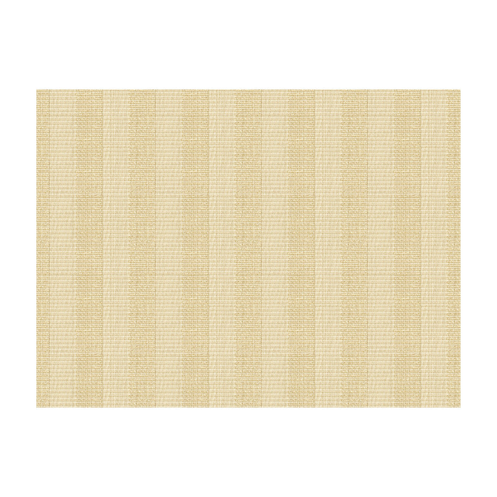 Kravet Design 33176-1116 by Kravet Design Fabric Kravet Design Fabric Kravet Design 33176-1116Fabric KRAVET COLORS RAYON - 61%;OLEFIN - 29%;COTTON - 10% United States </p><p>Repeat: H: 6.5, V: 58 - Fabric Carolina -