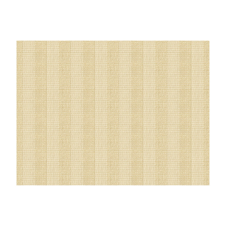 33176-1116 by Kravet Design Fabric KRAVET COLORS RAYON - 61%;OLEFIN - 29%;COTTON - 10% United States HEAVY Horizontal: 6.5 and Vertical: 58 - Fabric Carolina -