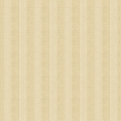 Kravet Design 33176-1116 by Kravet Design Fabric