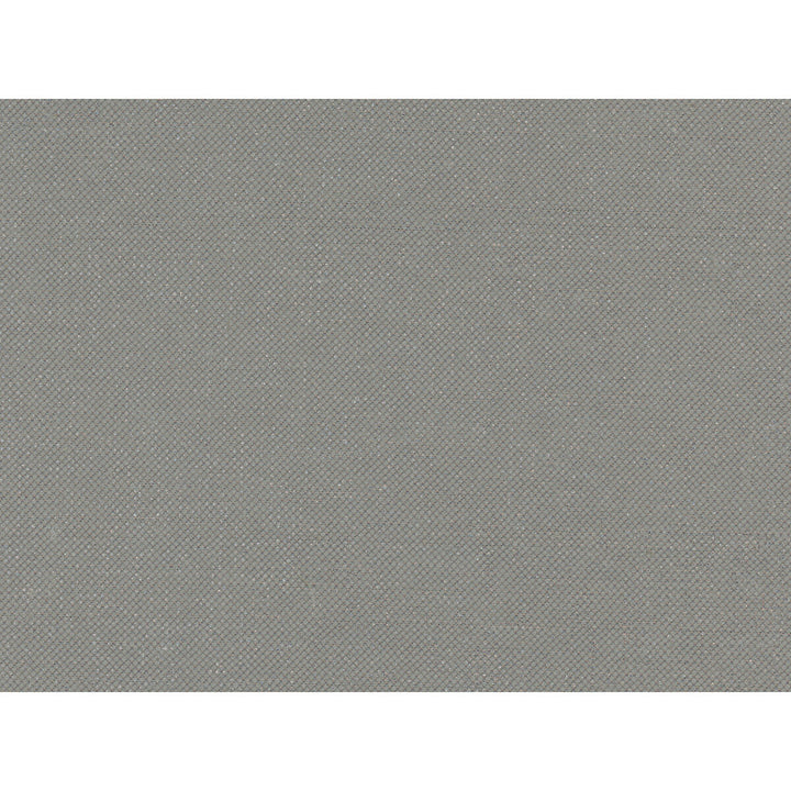 33198-1121 by Kravet Basics Fabric - VISCOSE - 38%;LINEN - 31%;POLYESTER - 31% China HEAVY Horizontal: - and Vertical: - 56 - Fabric Carolina -