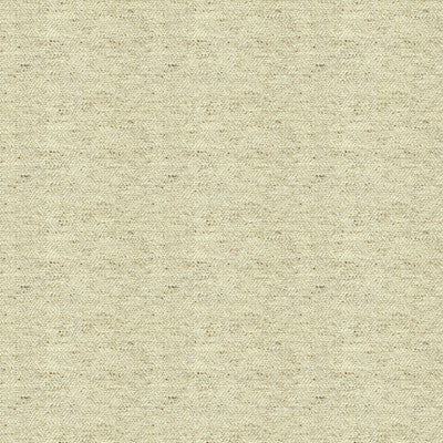 Kravet Basics 33287-116 by Kravet Basics Fabric