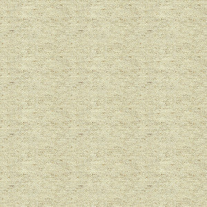 Kravet Basics 33287-116 by Kravet Basics Fabric
