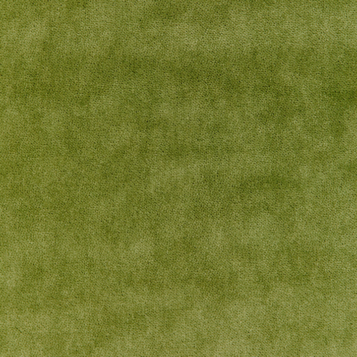 33299-130 by Kravet Basics Fabric POLYESTER - 75%;COTTON - 25% China HEAVY Horizontal: and Vertical: 54 - Fabric Carolina -