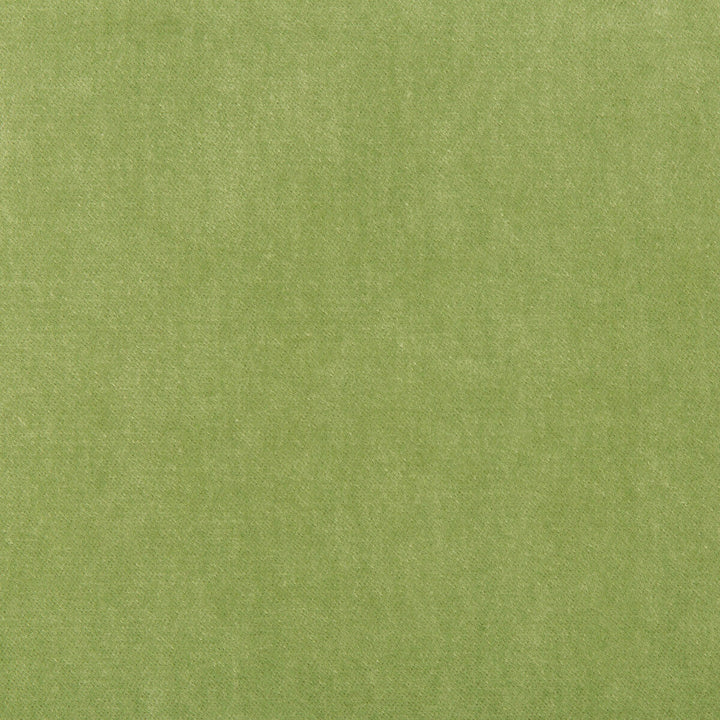 Kravet Basics 33299-303 by Kravet Basics Fabric Kravet Basics Fabric Kravet Basics 33299-303Fabric POLYESTER - 75%;COTTON - 25% China </p><p>Repeat: H: , V: 54 - Fabric Carolina -